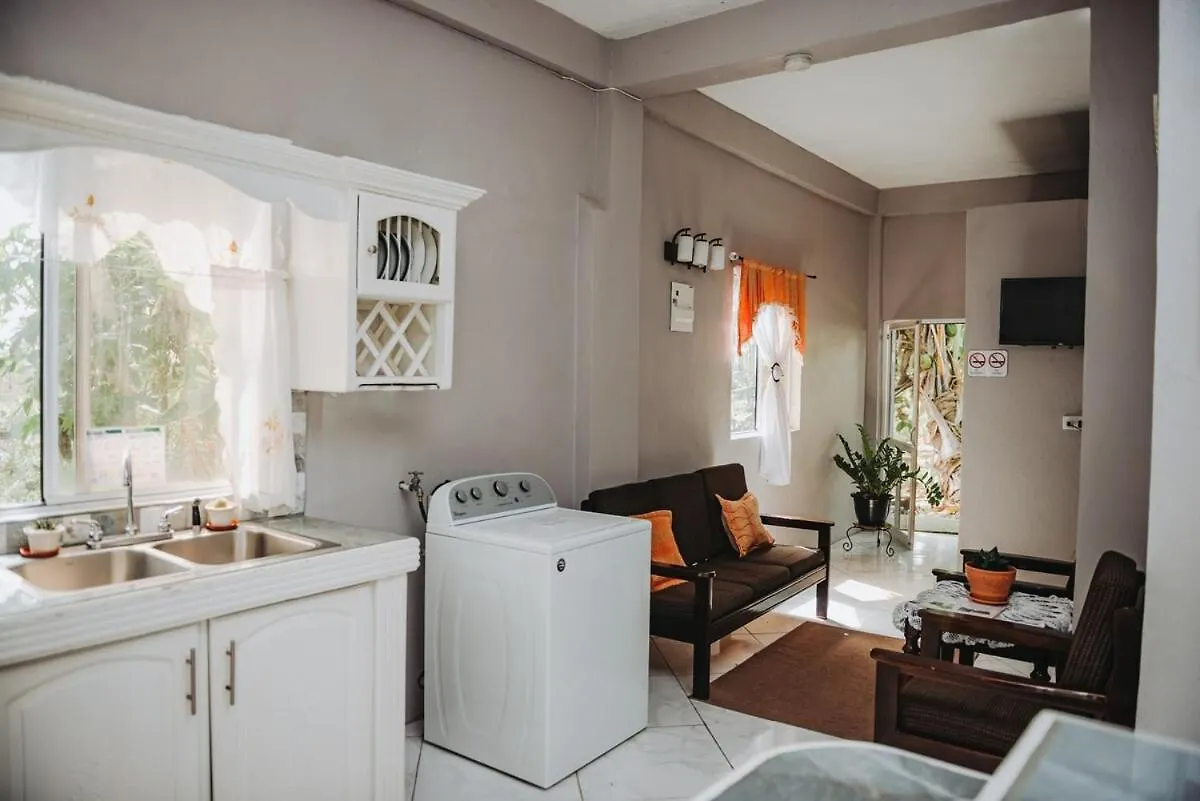 The Local Experience-Zaboka Apartment Choiseul