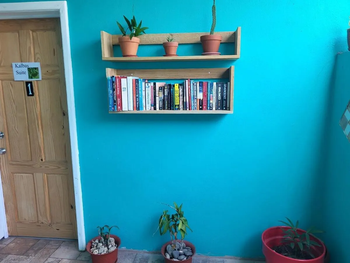 The Local Experience-Zaboka Apartment Choiseul