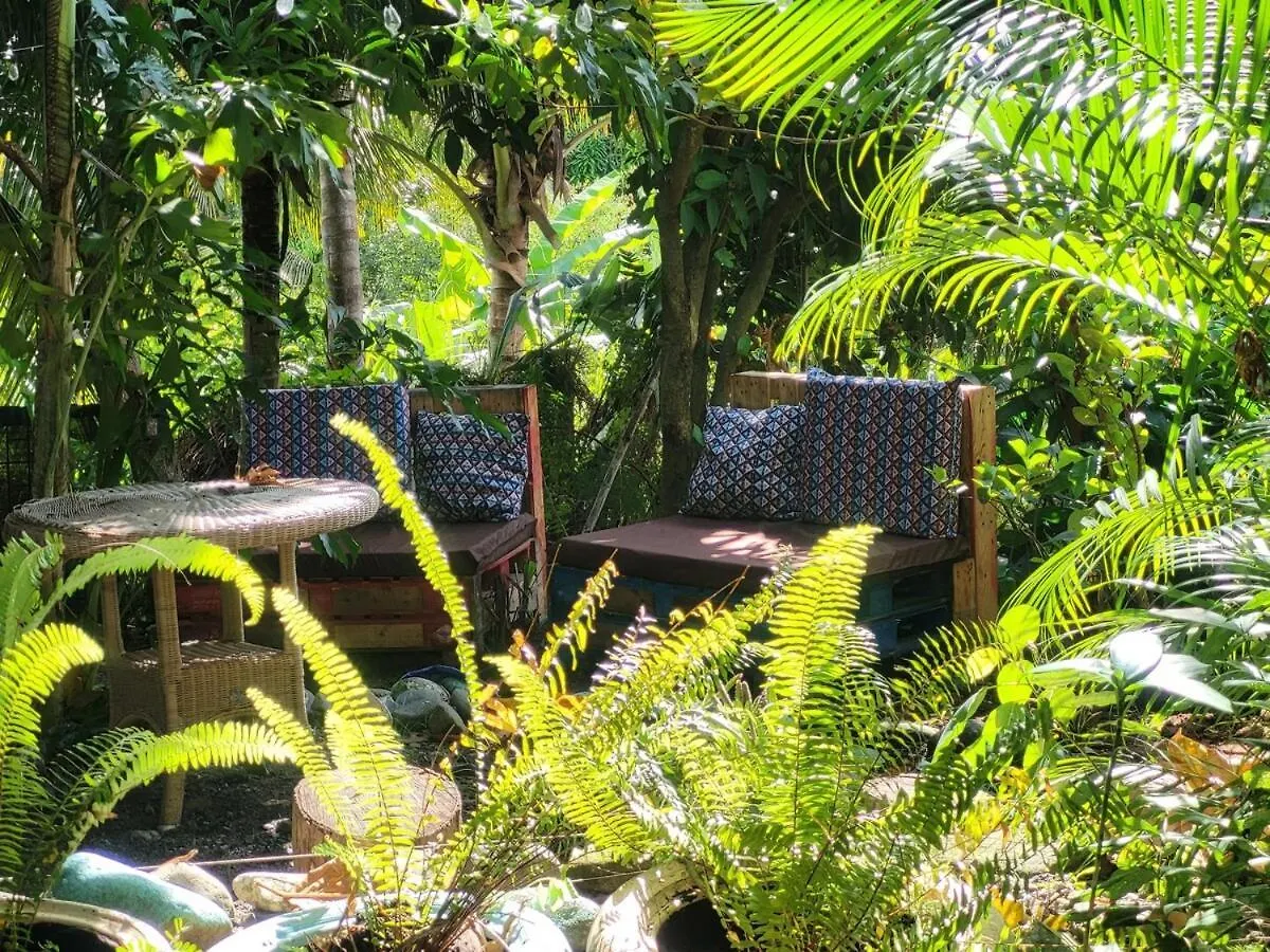 The Local Experience-Zaboka Apartment Choiseul 0*,
